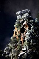 心惊肉跳游黄山