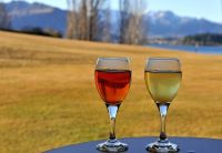 新西兰难忘火车游