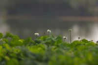 大家庭合家欢杭州二日自驾游记