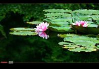 清明过后,杭州4日行程日记