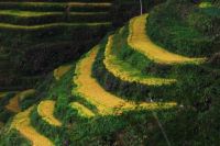 龙麒源景区畲族风情之旅