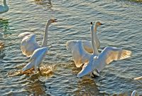 威海之旅之执行篇：第三日（顺利完结）