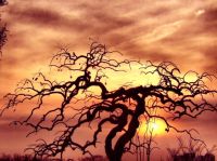 天津塘沽淘旧货