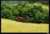 剑川:大理,丽江,香格里拉和怒江最佳的后花园