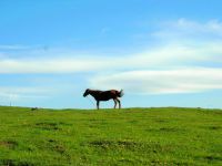 云上的日子-十一长假甘南/川北/青海7日游(四)