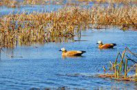 贵州－六广河 穿越