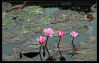 越南柬埔寨--顺化