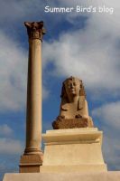 两年前游埃及亚历山大(Alexandria)