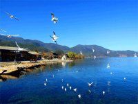 第五章，传说，孤独、酒醉的毛不耳，未尽的陇谷门沟