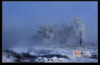 哈尔滨自驾吉林雾凇岛流水账