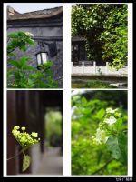 烟花三月下扬州