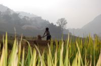 越南全程日志 昆明-河口