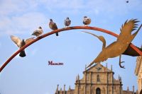 澳门旅行记之变身--流浪记