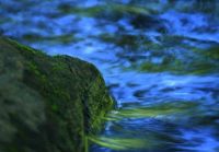 自助行香港海鲜饮食攻略