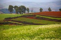 少数民族如何过春节