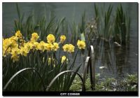 来过了就不曾离开  浙江篇