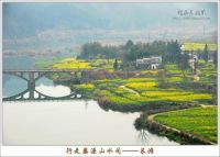 自助婺源+衢州烂柯山游记