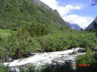 菜驴小非II之油墙假期