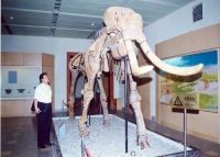 待到山花烂漫时