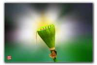 山不在高，有仙则灵   ------神仙山探路攻略