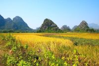 旅游廣東省陽江市海陵鳥海上樂園