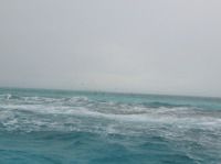 2013春節前帕勞行-4 第二天上午的浮潛
