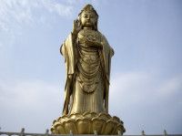 海天佛国 普陀山——中国佛教名山旅游导读 传记 上