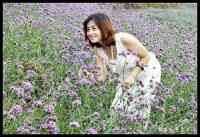 紫海云天--等待已久的普罗旺斯