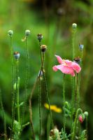 上海-周庄-杭州7天自助详细游记