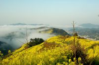 骑行，呼吸皖南的春雨