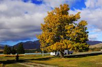 奥克兰自助游攻略