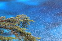 [转帖]亲身体验夏季九寨沟自由行如何省钱法