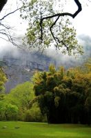 我和家人的武夷山自助游