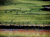 07暑假川藏、尼泊尔28天行