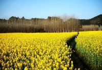 新晃夜郎谷漂流精彩攻略