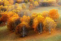 周末草原之旅－第一天，上路