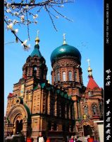 2007初冬松峰山游记