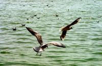 美山、美水、美镇、扎西德勒