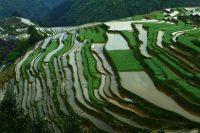 第七章，那里的孩子们