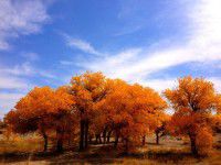 灵山两日~~微笑 自然~ 篇