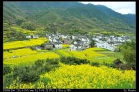 08年3月上海到婺源5人自助游