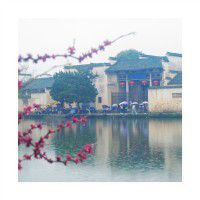 烟花三月江南行（安徽宏村、南屏、浙江杭州）