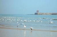 碧海 蓝天  金沙滩