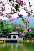 来不及准备的广东行