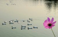 江南行（初步计划）