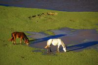 半天翻越三座大山