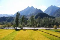 2008年九寨沟黄龙自助游全攻略(超级无敌全面的攻略，能为大家解决很多疑惑