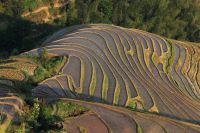 龙胜梯田