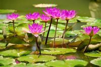 广西中南部省钱之旅（一）（多图）