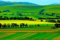 河北-丰宁-大滩-坝上草原